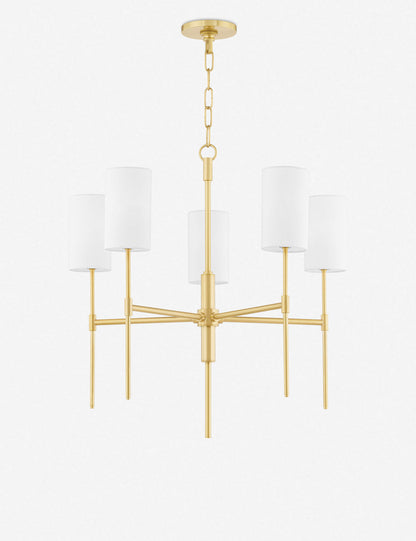 Jensine Chandelier - Dining Room Chandelier Fixture for Dining Rooms