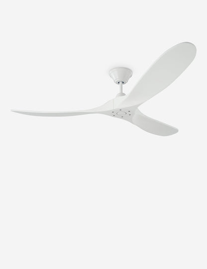 Delos Ceiling Fan - Ceiling Fan with Light Indoor Fixture Light