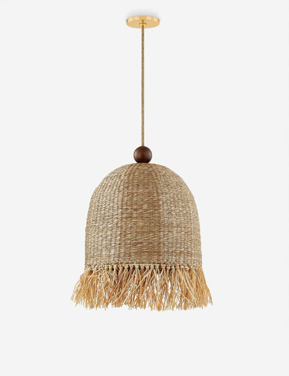 Bacri Pendant Light - Modern Ceiling Pendant Light for Dining Rooms