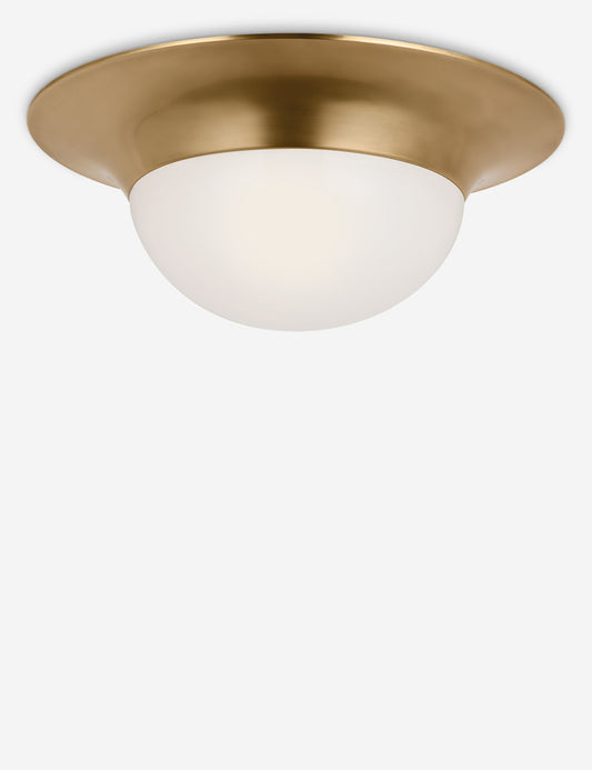 Seeger Flush Mount Light - Flush Mount Ceiling Light for Hallways
