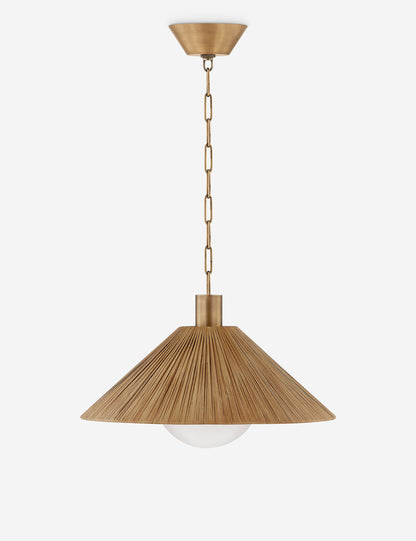 Atia Pendant Light - Modern Ceiling Pendant Light for Dining Rooms