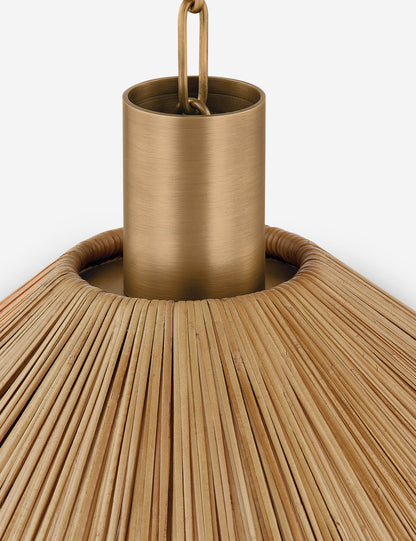 Atia Pendant Light - Modern Ceiling Pendant Light for Dining Rooms