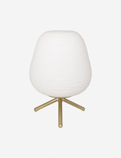 Ina Mini Desk Table Lamp - Desk Task Lamp for Home Offices Light